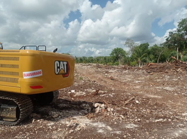 Ambientalistas inmovilizan maquinaria en el tramo 5 Sur del Tren Maya